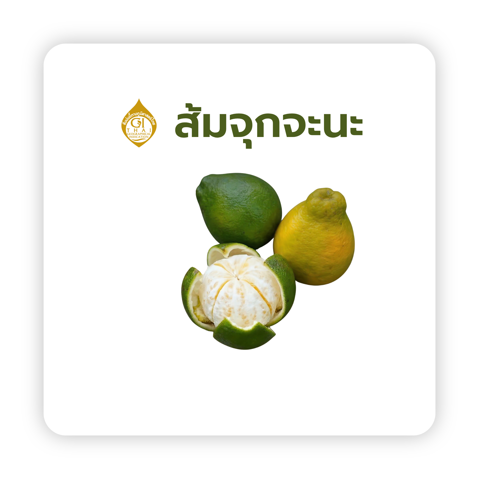 ส้มจุกจะนะ