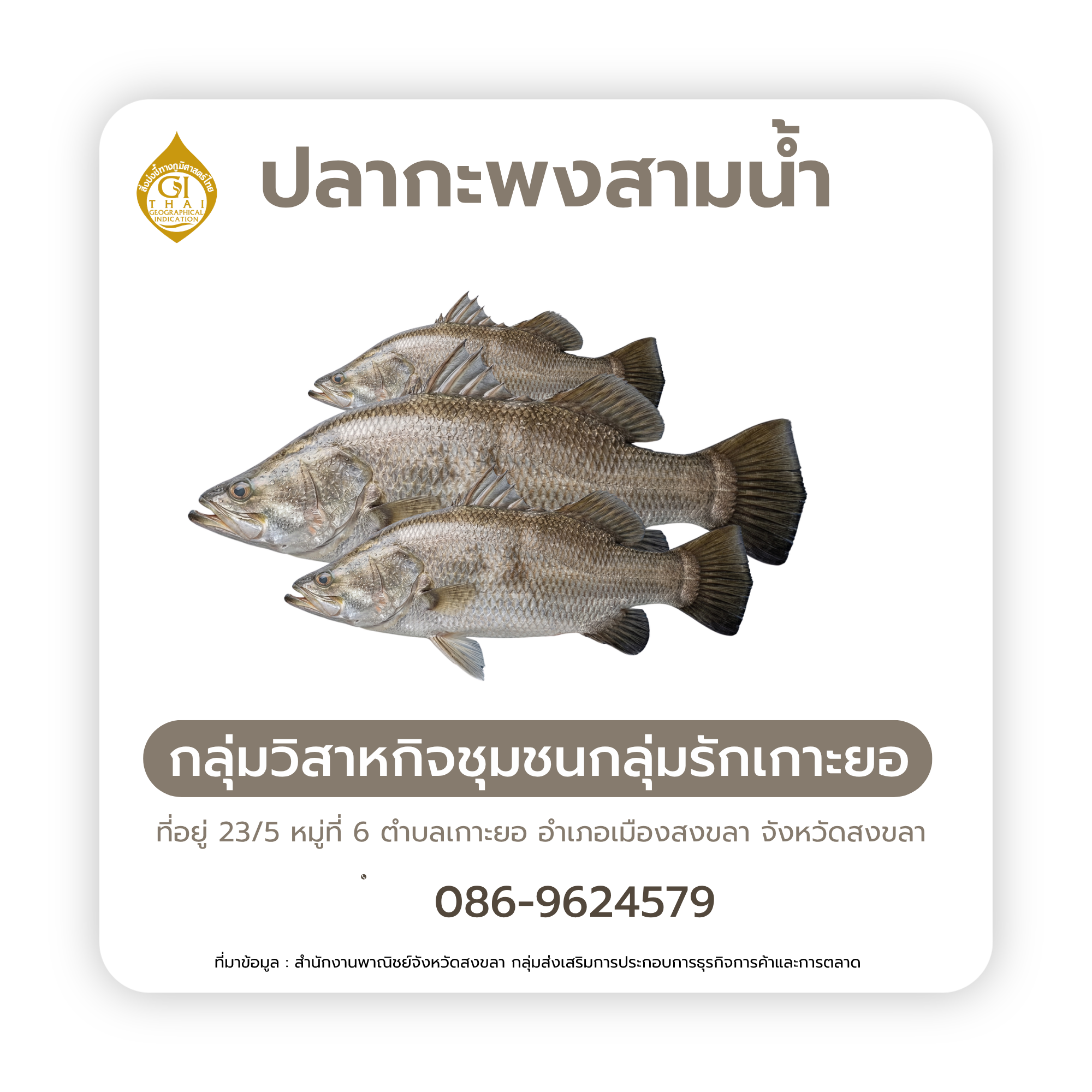 กลุ่มวิสาหกิจชุมชนกลุ่มรักเกาะยอ